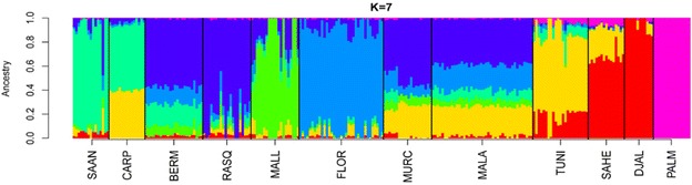 Fig. 2