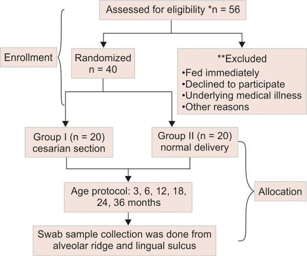 Flow Chart 1: