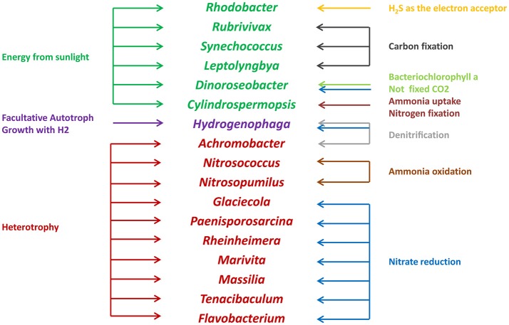 Figure 7