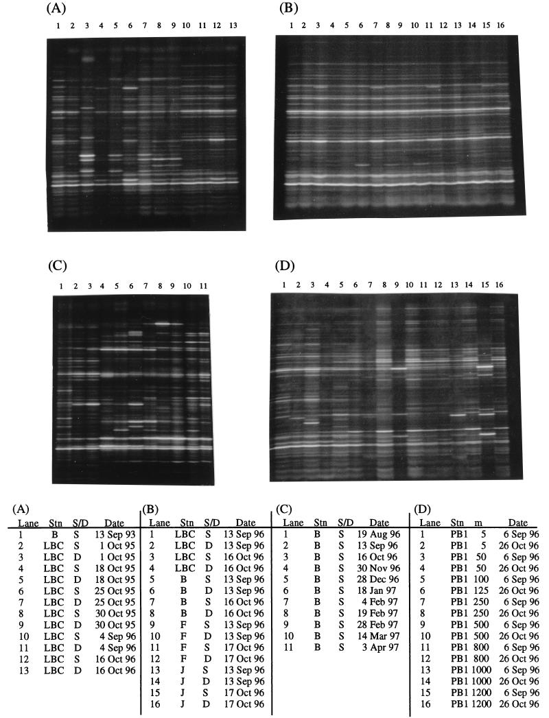 FIG. 6