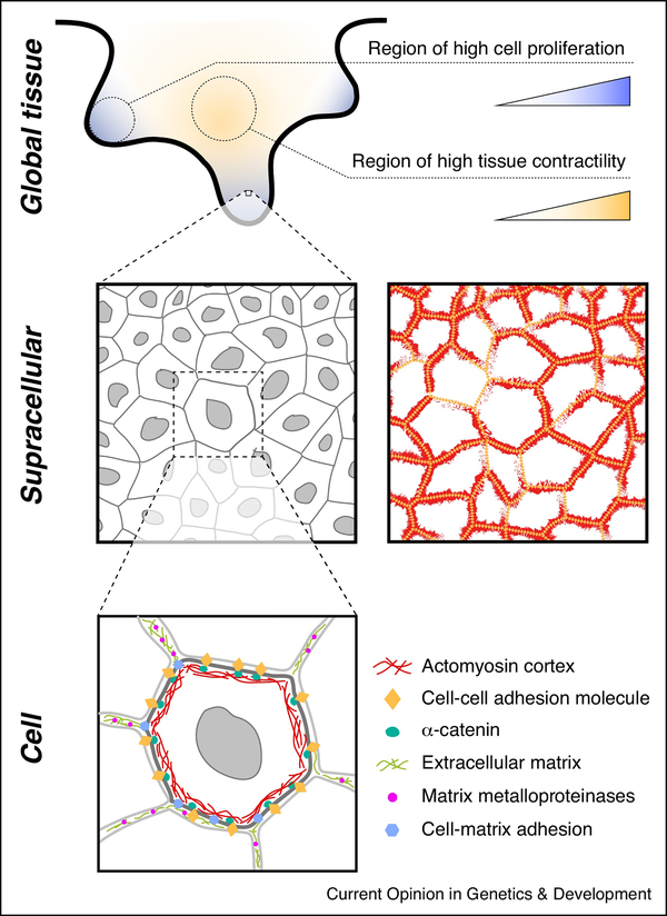 Figure 2 –