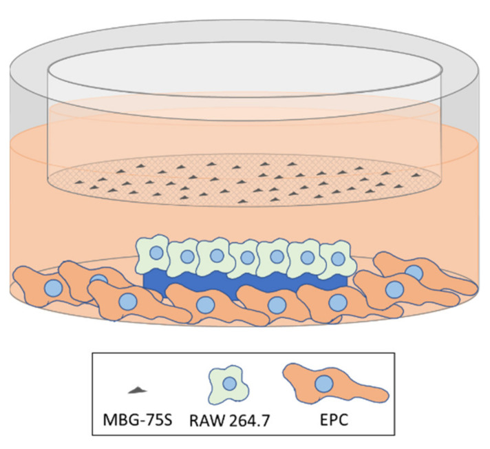 Scheme 3