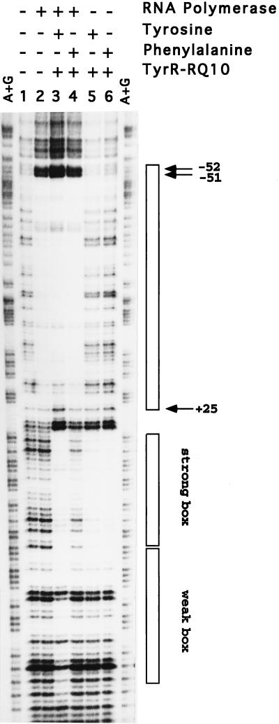 FIG. 6