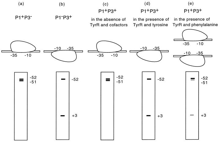 FIG. 5