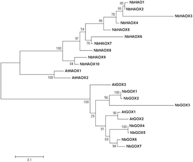 Figure 1