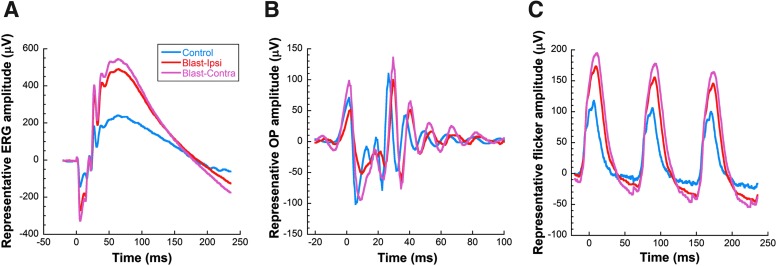 FIG. 2.