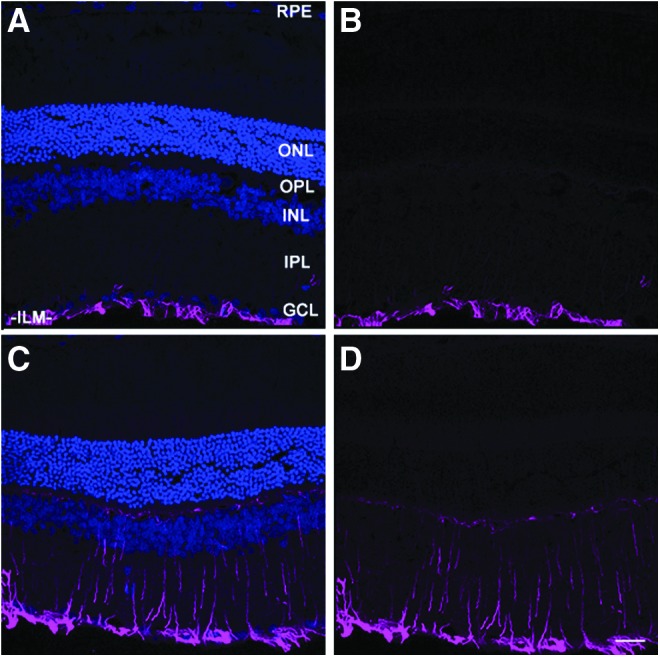 FIG. 7.