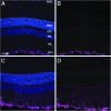 <b>FIG. 7.</b>