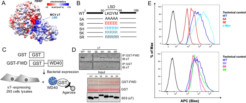 Fig. 4