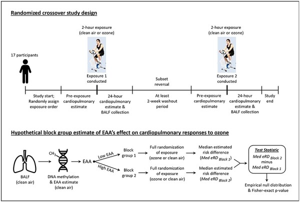 Figure 1: