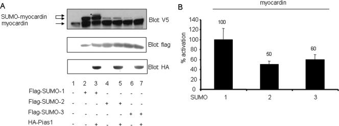 FIG. 7.