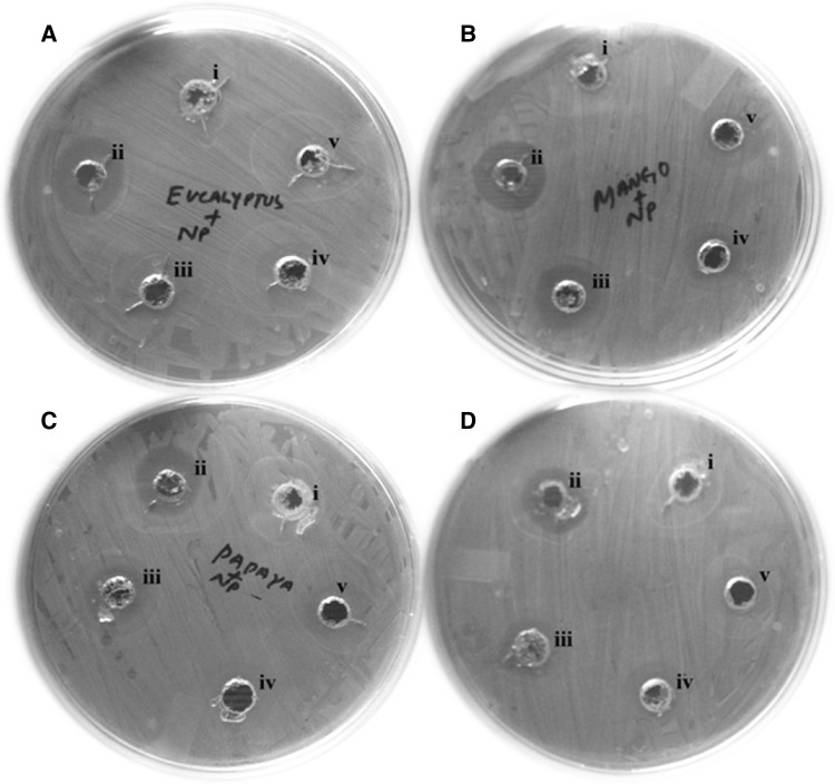 Fig. 7