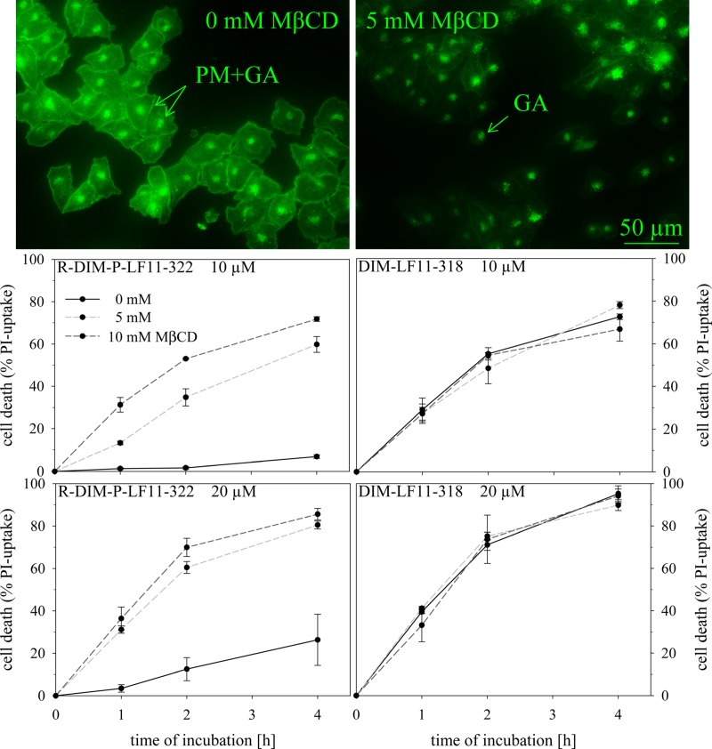 Fig 8