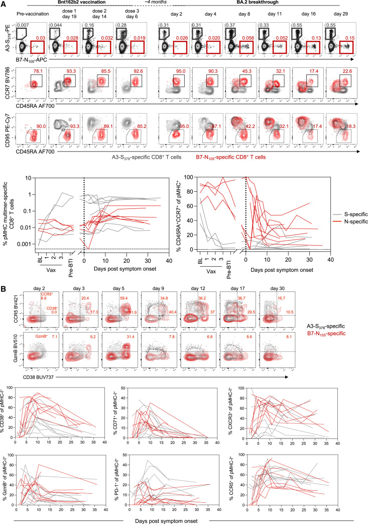 Figure 4