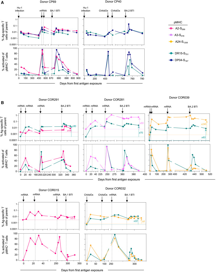 Figure 6