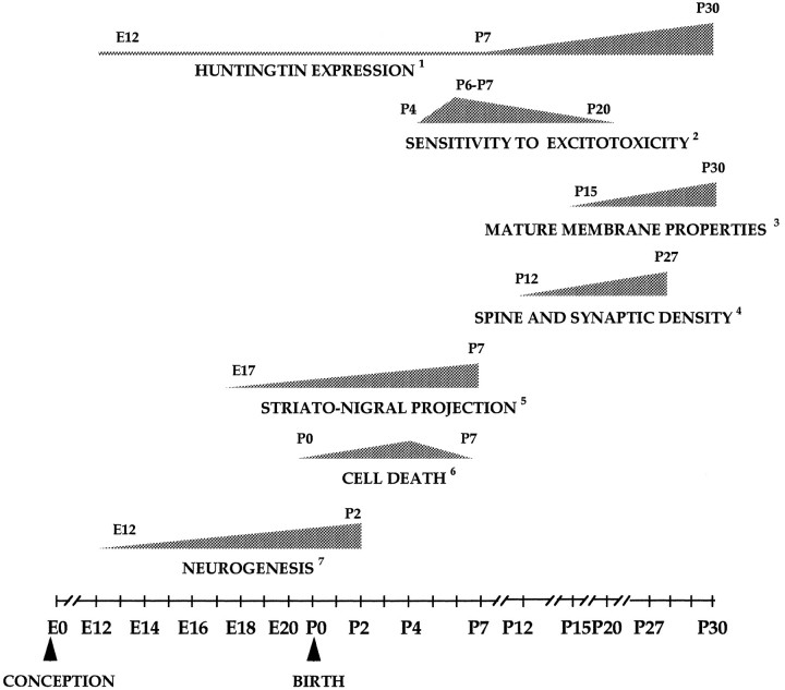 Fig. 13.