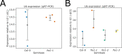 Figure 2—figure supplement 3.