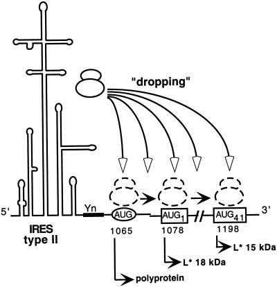 FIG. 7.