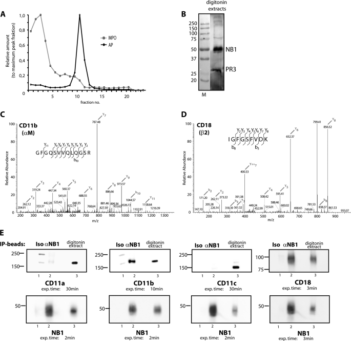 FIGURE 2.