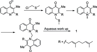 Scheme 7