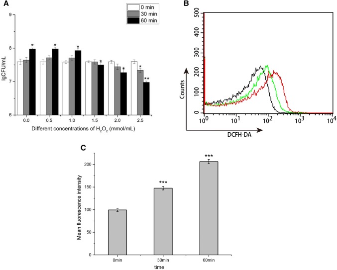 Fig. 2