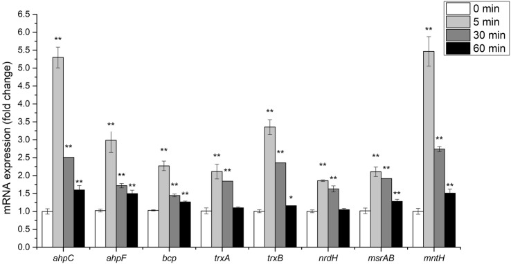 Fig. 3