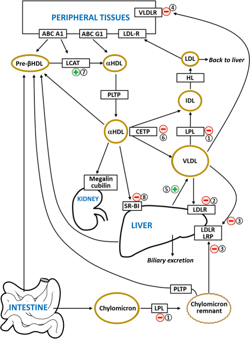 Fig. 3