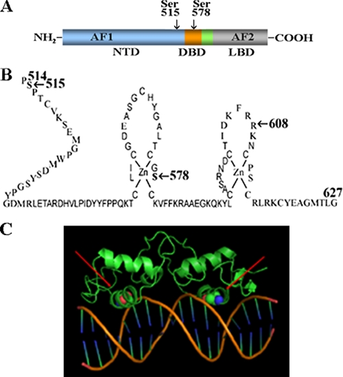 FIGURE 10.