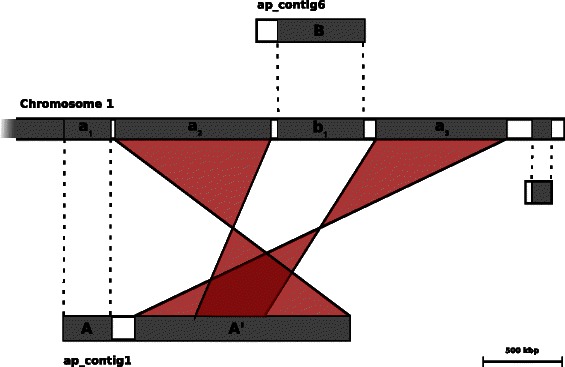 Fig. 3