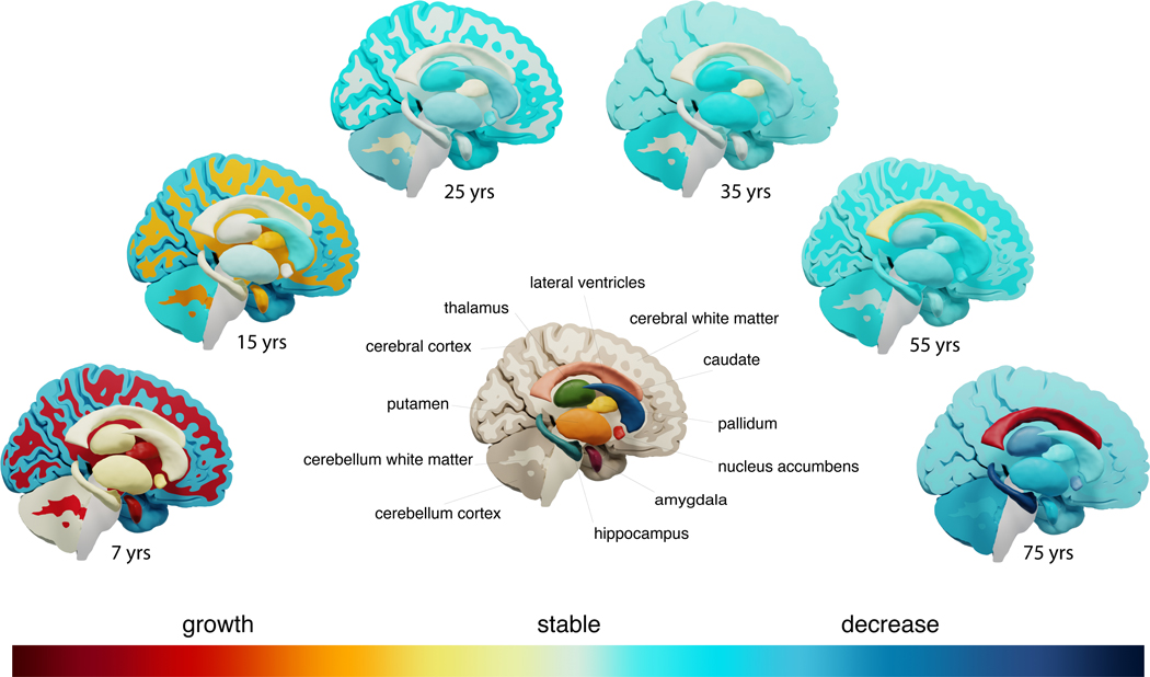 Figure 1: