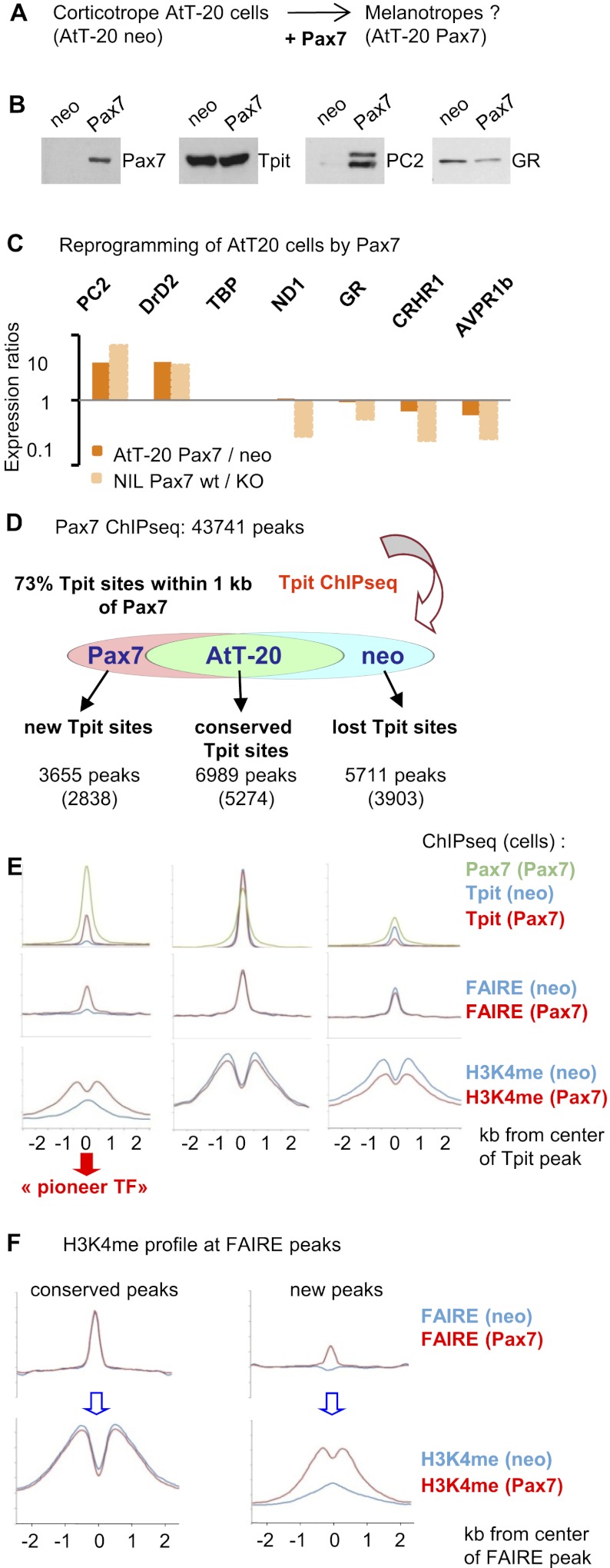 Figure 5.