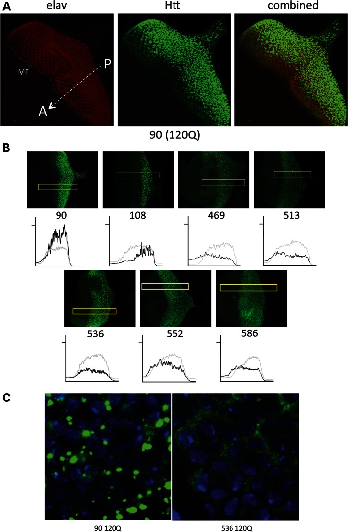 Figure 5.