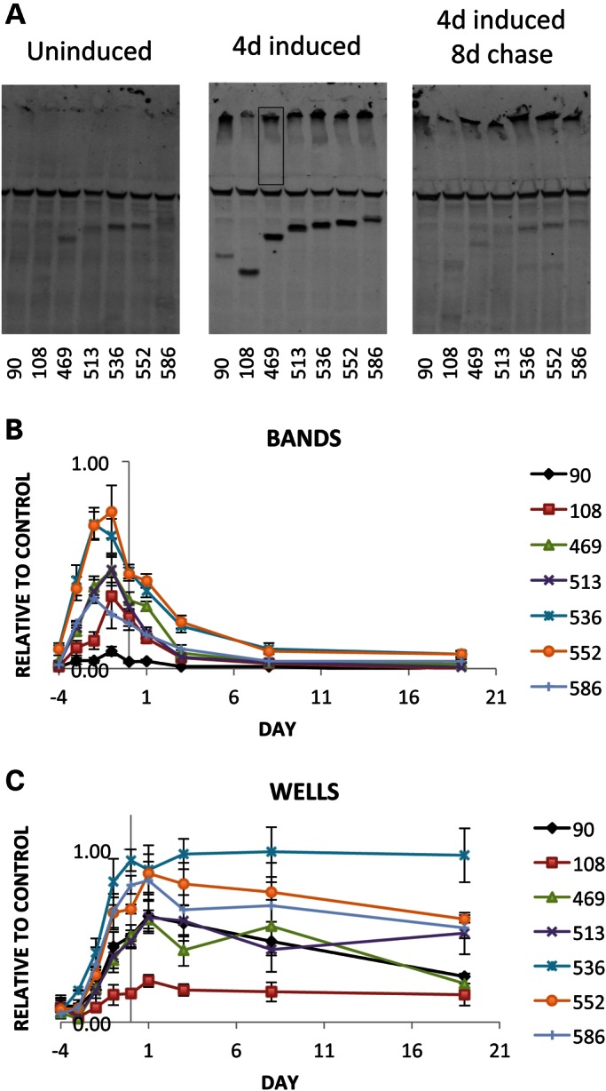 Figure 4.