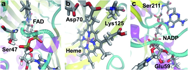 Fig. 10