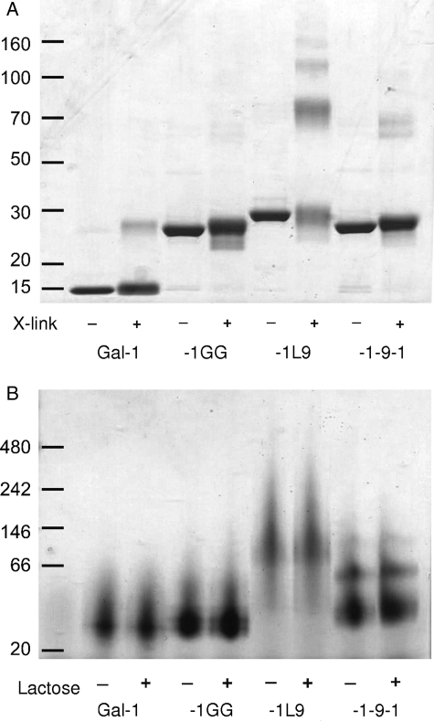 Fig. 3.