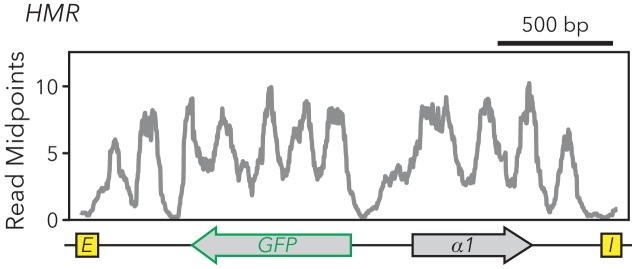 Figure 2—figure supplement 3.