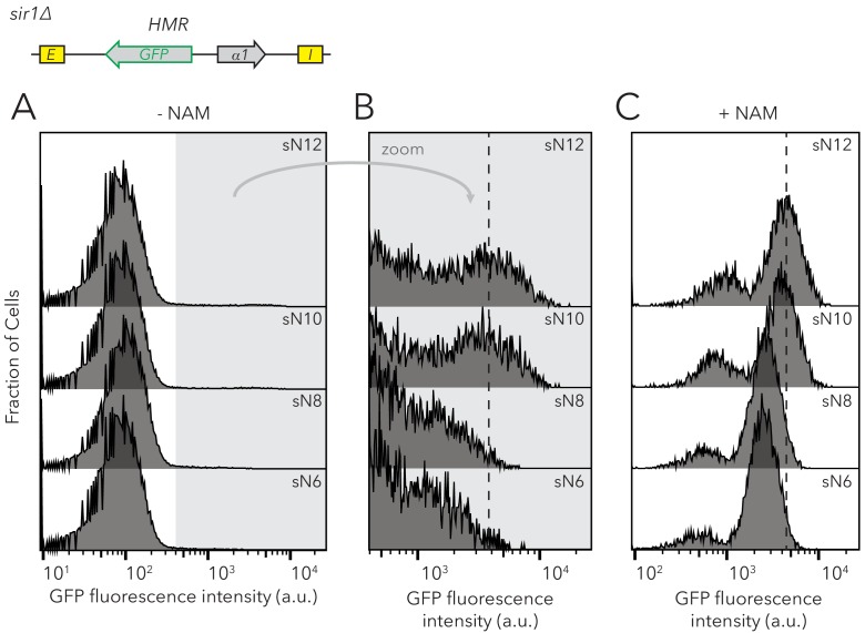 Figure 2—figure supplement 4.