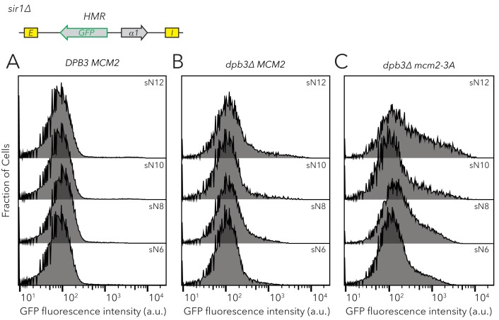 Figure 5—figure supplement 1.