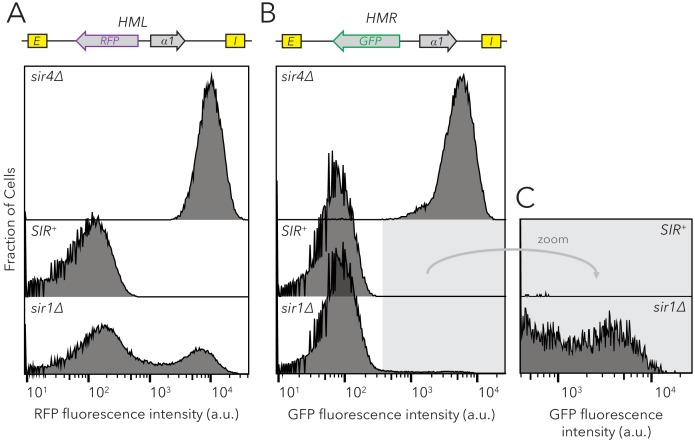 Figure 2—figure supplement 2.