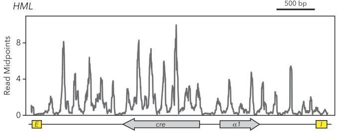 Figure 1—figure supplement 3.