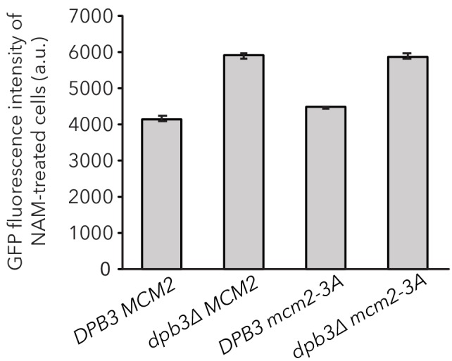 Figure 4—figure supplement 3.