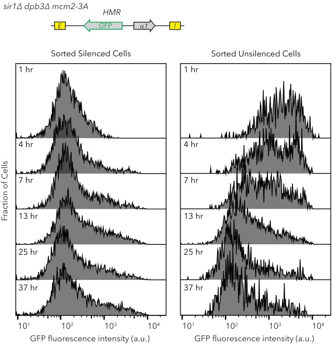 Figure 4—figure supplement 2.