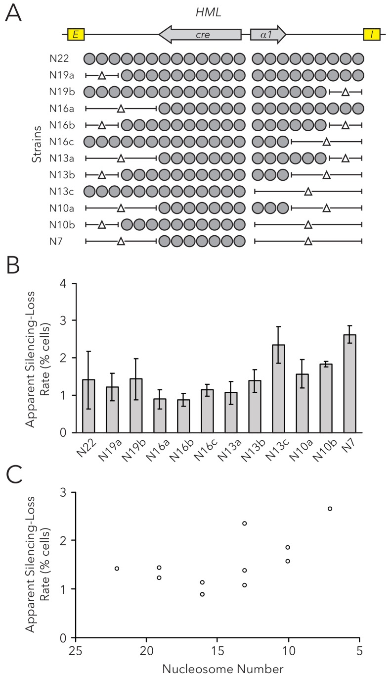 Figure 1—figure supplement 5.