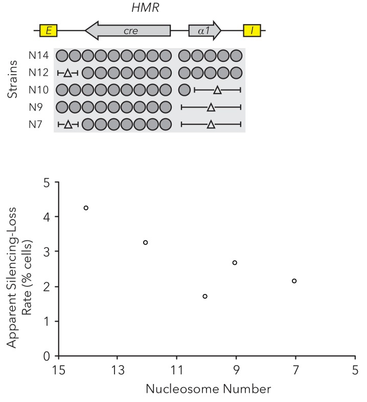 Figure 1—figure supplement 2.