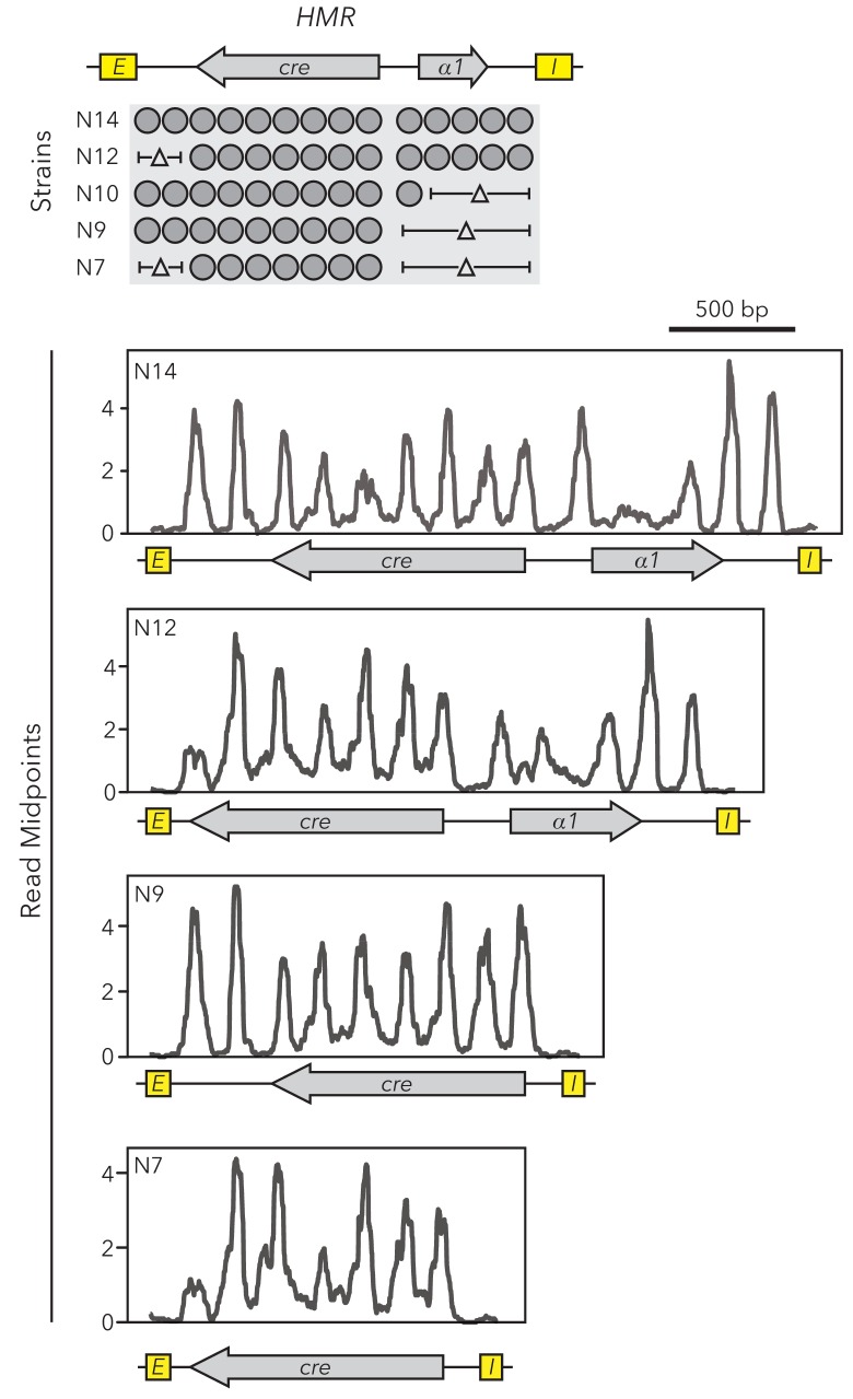 Figure 1—figure supplement 1.