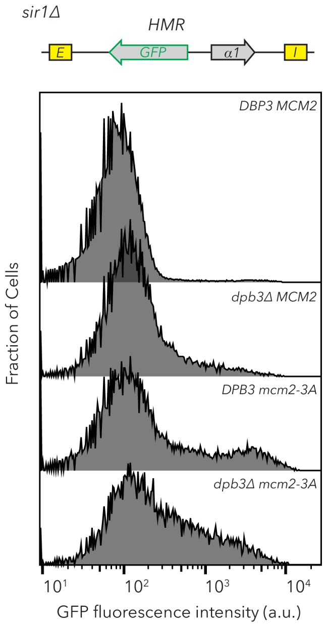 Figure 4—figure supplement 1.