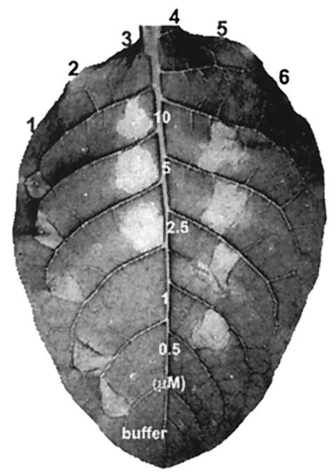 FIG. 7.