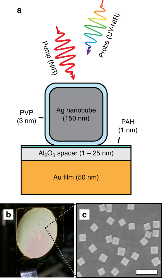 Fig. 2