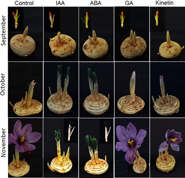 Figure 6