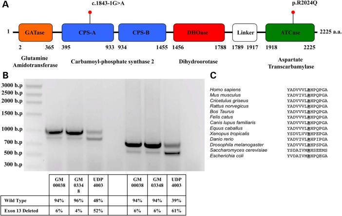 Figure 2.